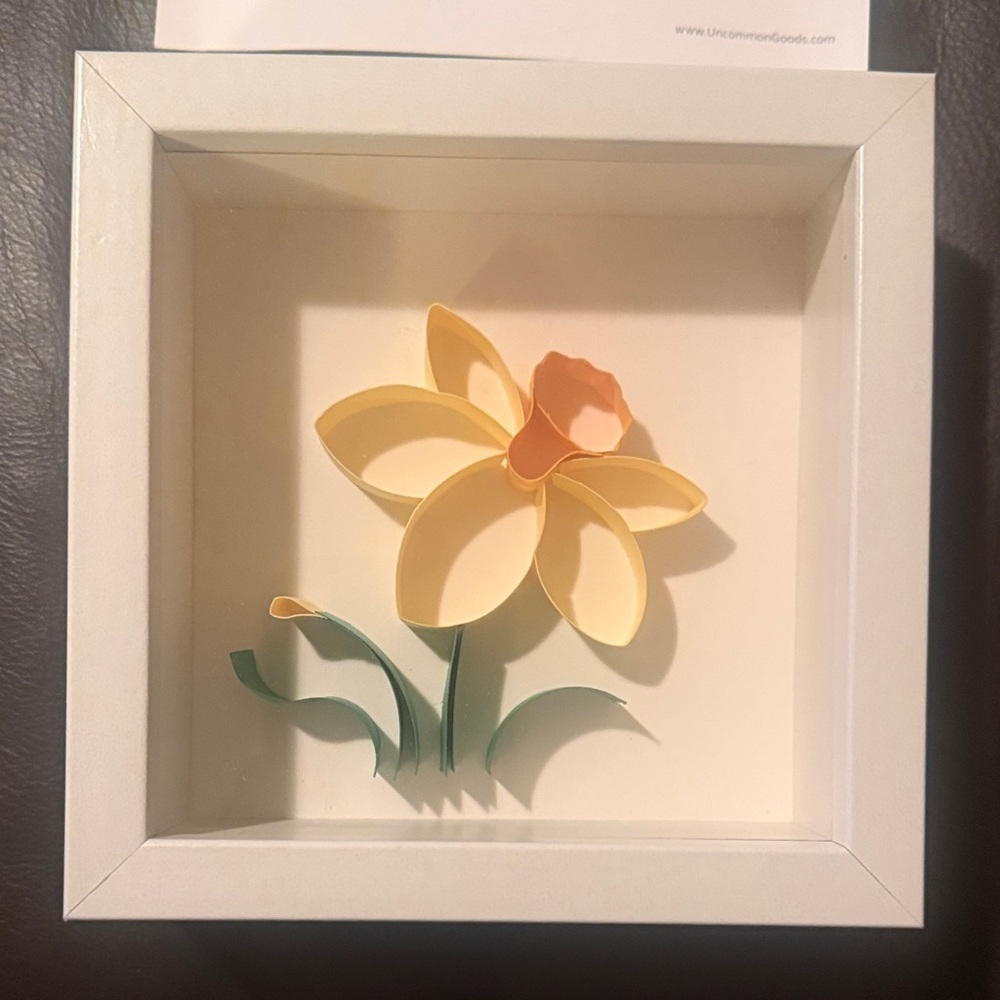 Framed Daffodil Paper Art